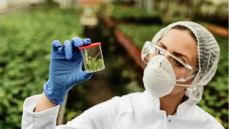 Diplomado en Ciencias Ambientales